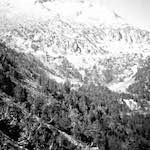 image: Image from the photoset &lsquo;photographer&nbsp;x&nbsp;(xi)&nbsp;a)&rsquo;.