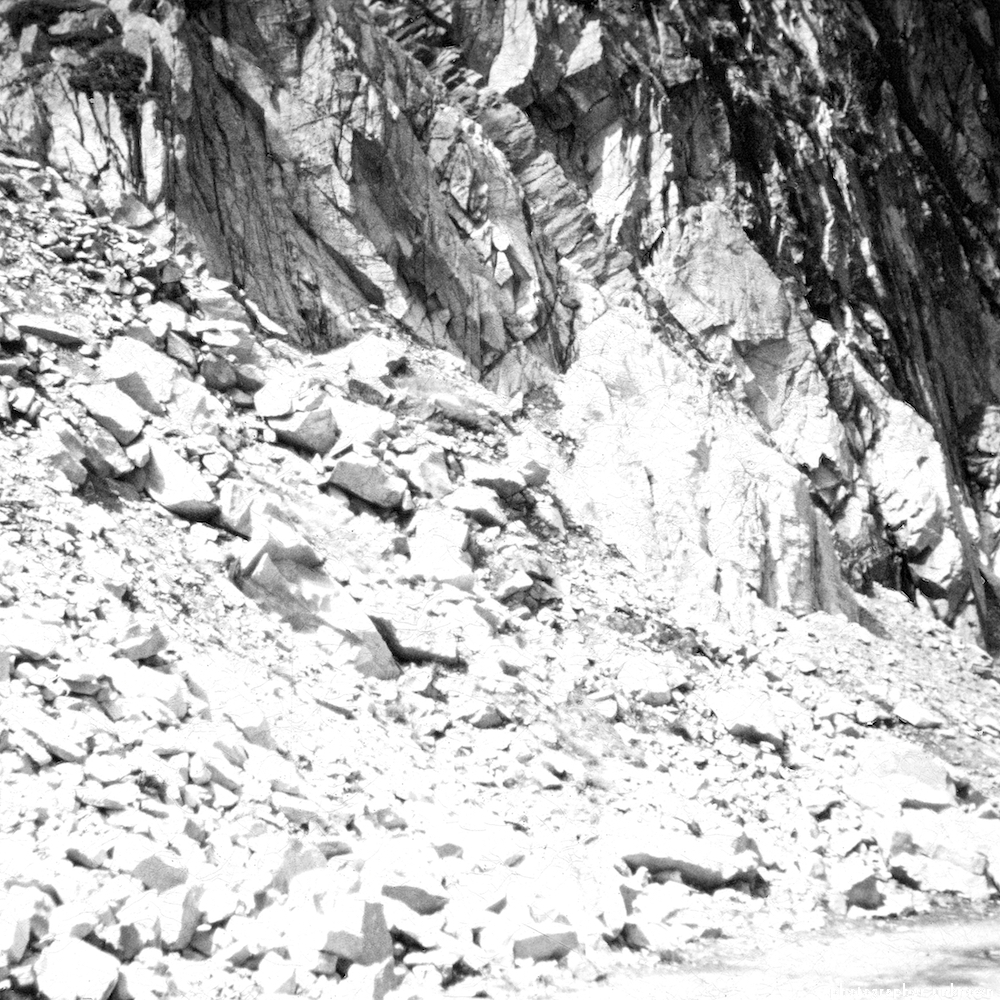 image: This is &lsquo;photographer&nbsp;x&nbsp;(xi)&nbsp;b)&nbsp;5&rsquo;.