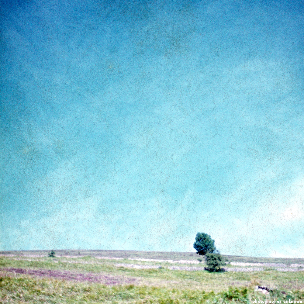 image: This is &lsquo;photographer&nbsp;x&nbsp;(xii)&nbsp;a)&nbsp;6&rsquo;.