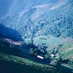 image: Image from the photoset &lsquo;photographer&nbsp;x&nbsp;(xii)&nbsp;a)&rsquo;.