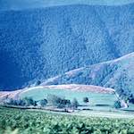 image: Image from the photoset &lsquo;photographer&nbsp;x&nbsp;(xii)&nbsp;a)&rsquo;.