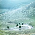 image: Image from the photoset &lsquo;photographer&nbsp;x&nbsp;(xii)&nbsp;a)&rsquo;.