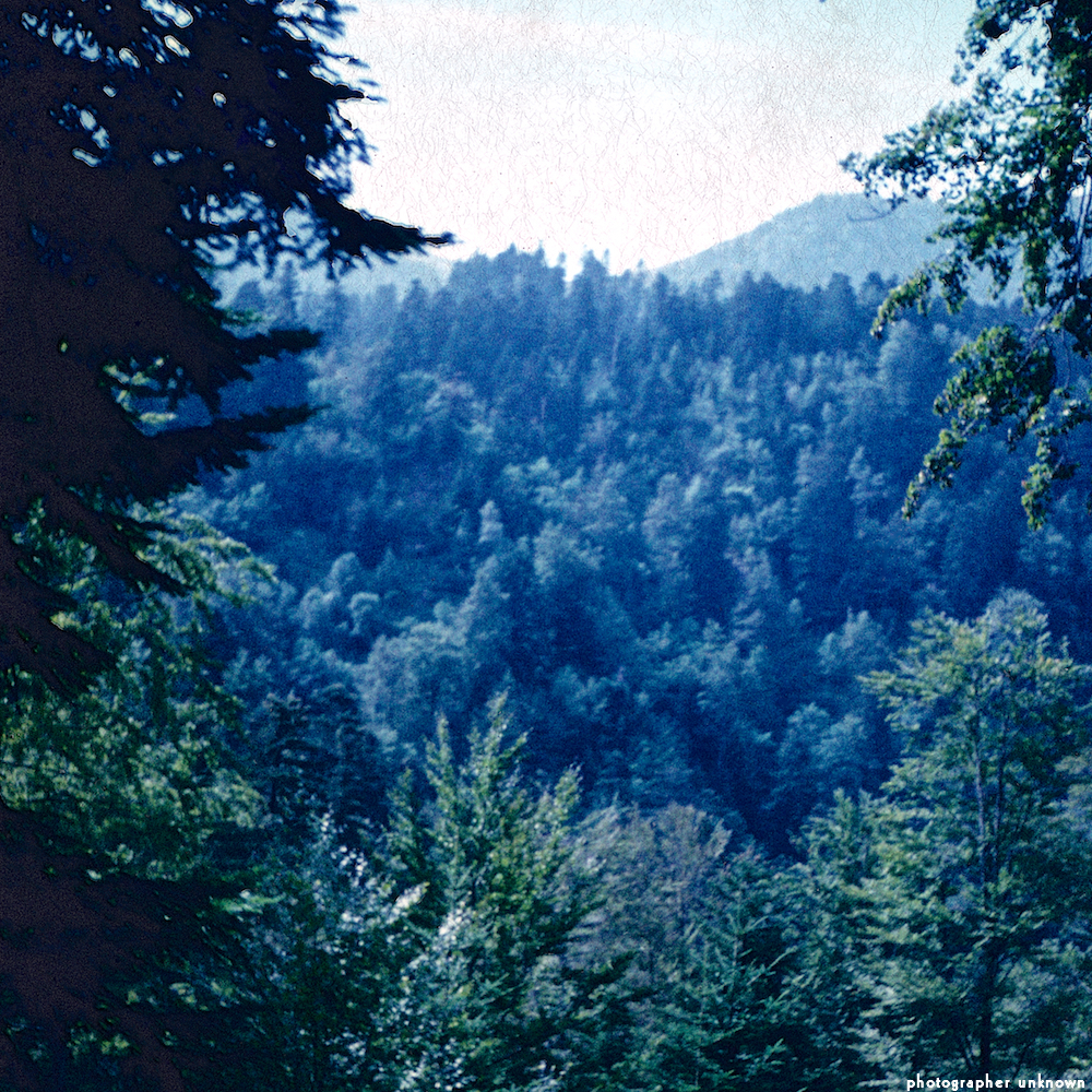 image: This is &lsquo;photographer&nbsp;x&nbsp;(xii)&nbsp;b)&nbsp;4&rsquo;.