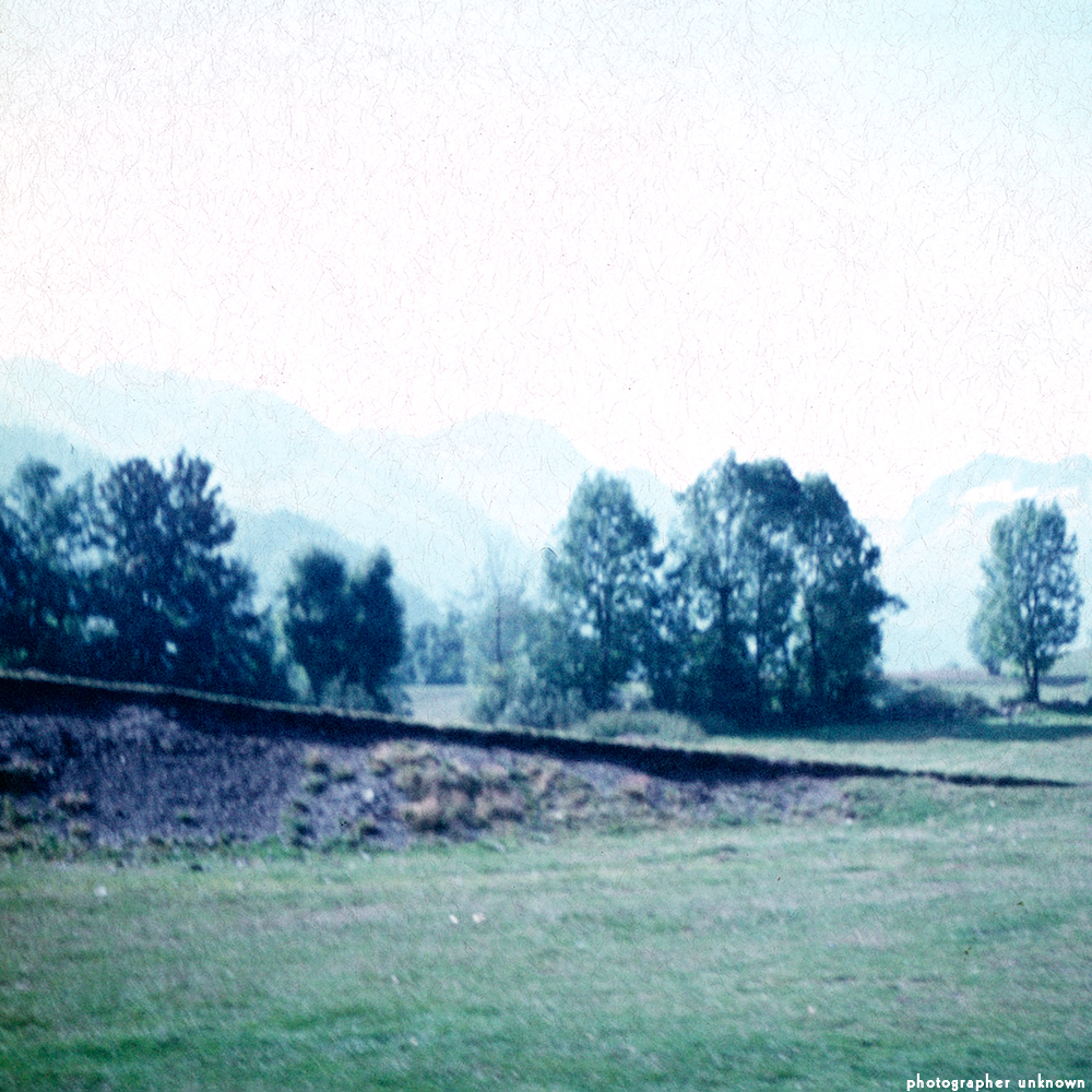 image: This is &lsquo;photographer&nbsp;x&nbsp;(xii)&nbsp;b)&nbsp;5&rsquo;.