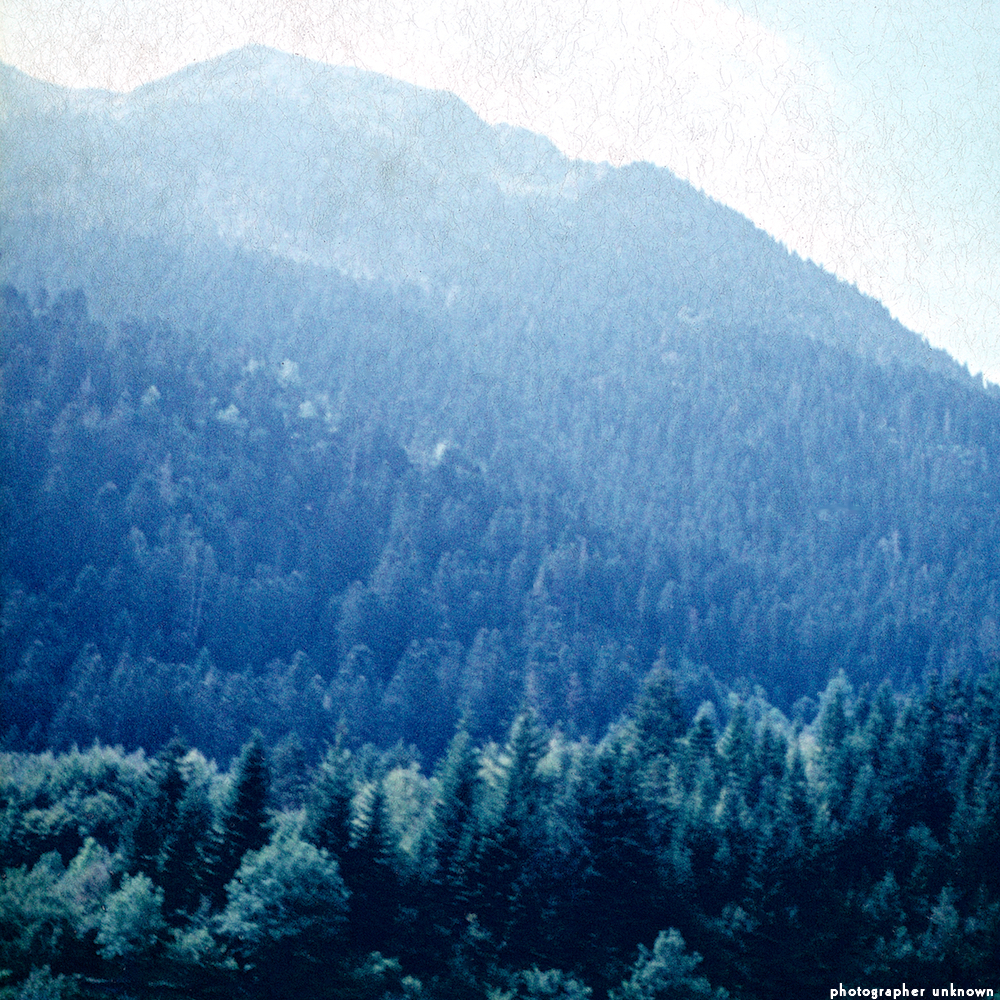 image: This is &lsquo;photographer&nbsp;x&nbsp;(xii)&nbsp;b)&nbsp;6&rsquo;.