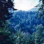 image: Image from the photoset &lsquo;photographer&nbsp;x&nbsp;(xii)&nbsp;b)&rsquo;.