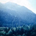 image: Image from the photoset &lsquo;photographer&nbsp;x&nbsp;(xii)&nbsp;b)&rsquo;.