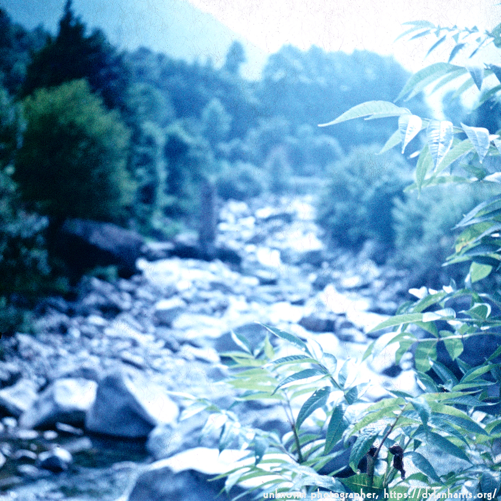 image: This is &lsquo;photographer&nbsp;x&nbsp;(iii)&nbsp;3&rsquo;.