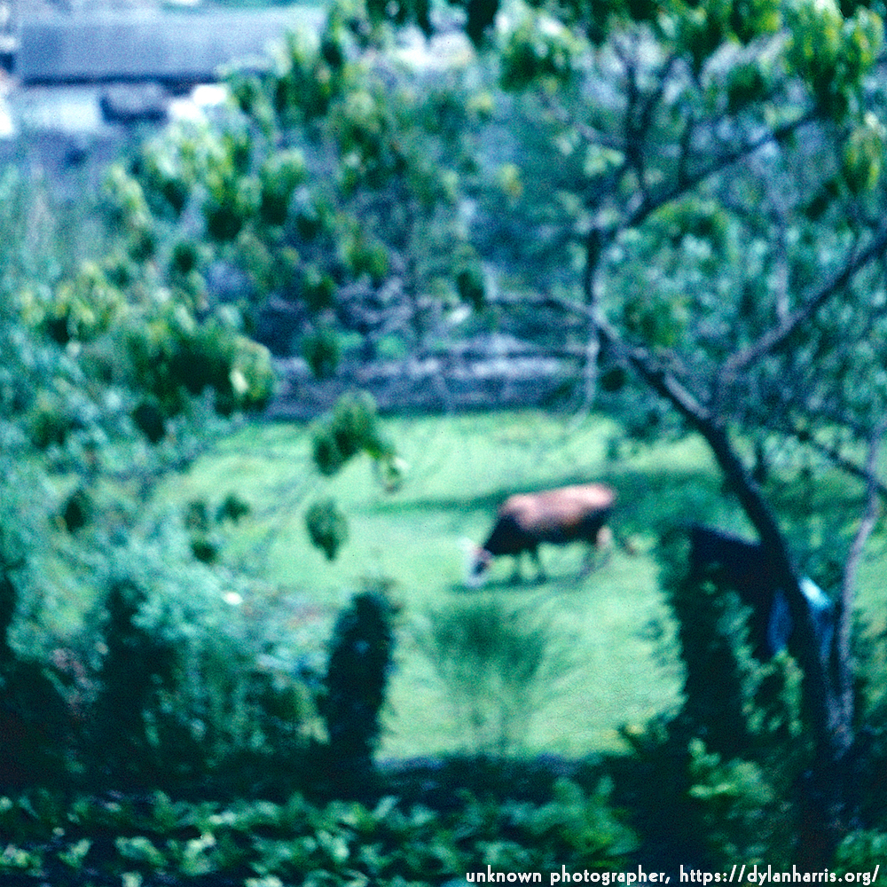 image: This is &lsquo;photographer&nbsp;x&nbsp;(iii)&nbsp;6&rsquo;.