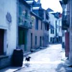 image: Image from the photoset &lsquo;photographer&nbsp;x&nbsp;(iii)&rsquo;.