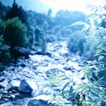 image: Image from the photoset &lsquo;photographer&nbsp;x&nbsp;(iii)&rsquo;.