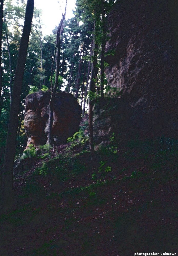 image: This is &lsquo;photographer&nbsp;x&nbsp;(ix) a)&nbsp;5&rsquo;.